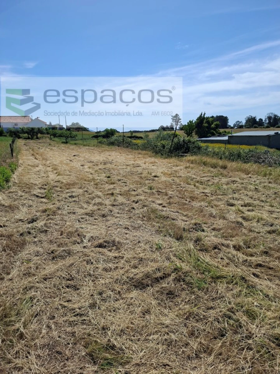 Moradia T3 para Venda em Vale de Prazeres e Mata da Rainha Foto 18