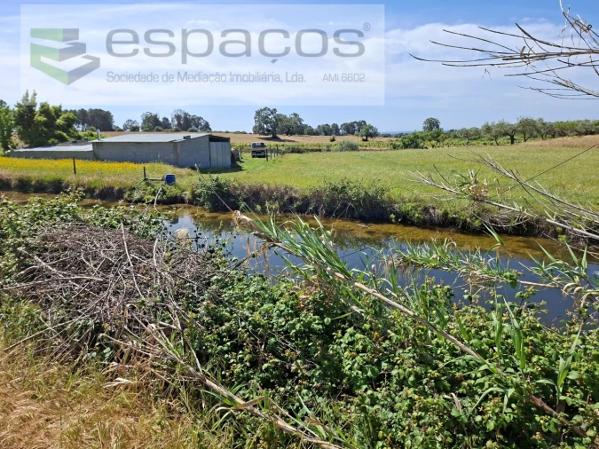 Moradia T3 para Venda em Vale de Prazeres e Mata da Rainha Foto 20