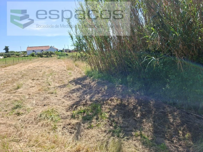 Moradia T3 para Venda em Vale de Prazeres e Mata da Rainha Foto 21