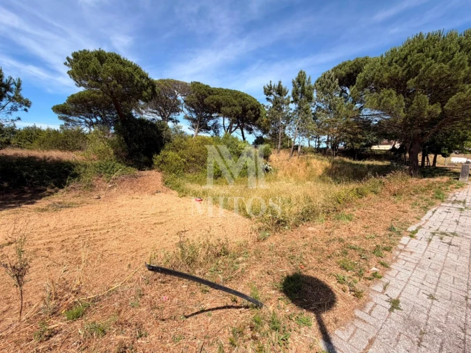 Terreno para Venda em Darque Foto 5