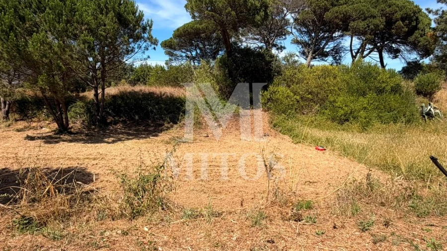 Terreno para Venda em Darque