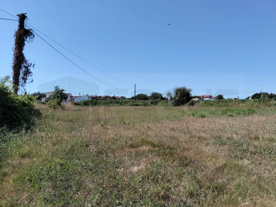Terreno para Venda em Salreu Foto 8