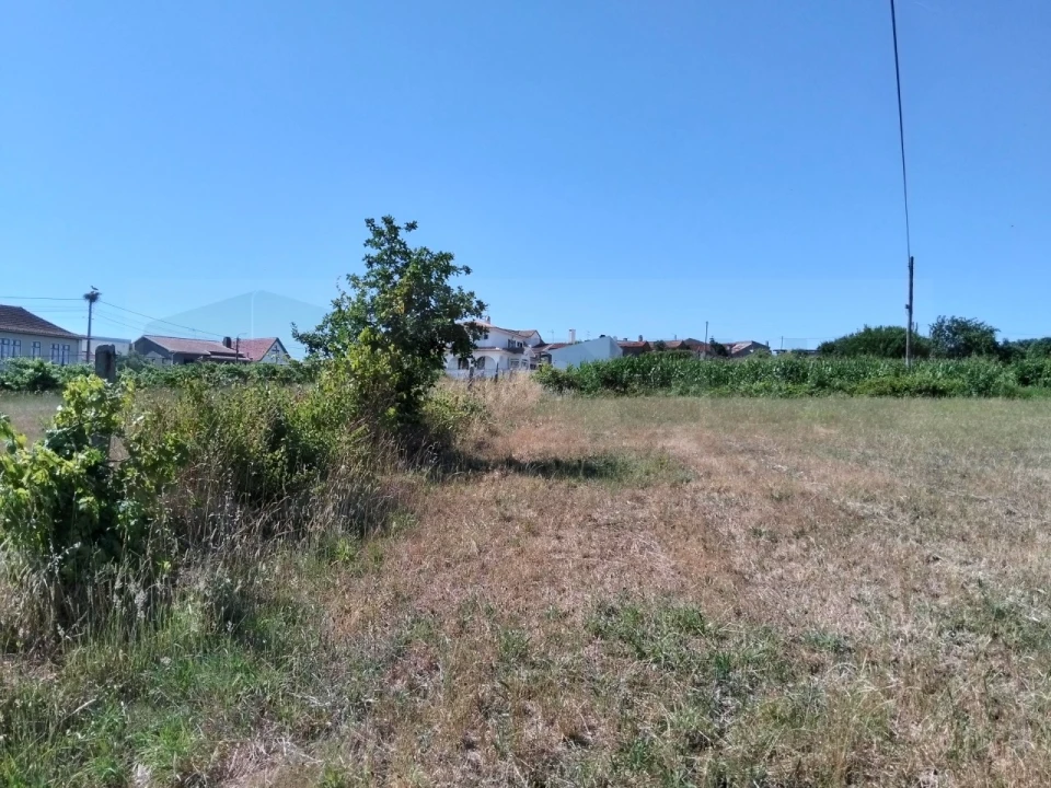 Terreno para Venda em Salreu Foto 9