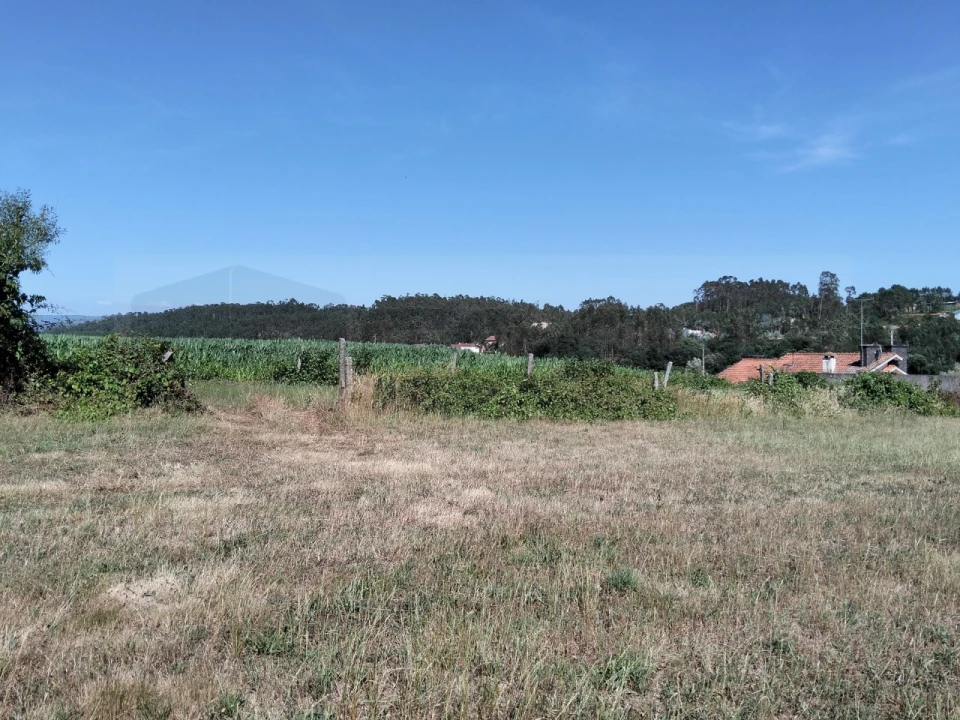 Terreno para Venda em Salreu Foto 11