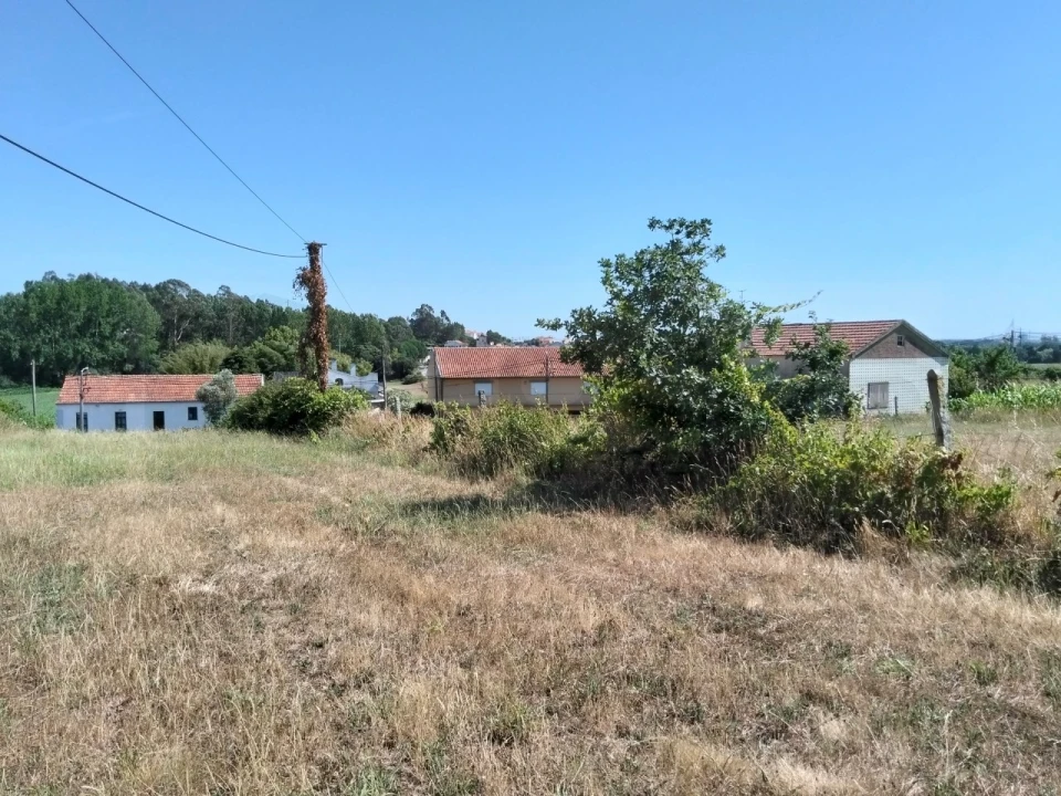 Terreno para Venda em Salreu Foto 13