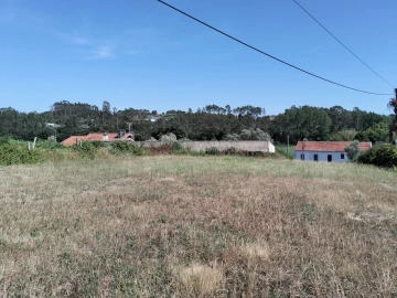 Terreno para Venda em Salreu