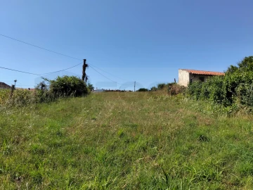 Terreno para Venda em Salreu