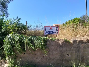 Terreno para Venda em Salreu