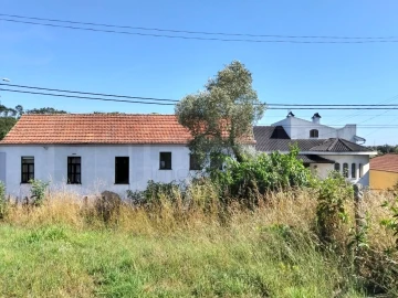 Terreno para Venda em Salreu