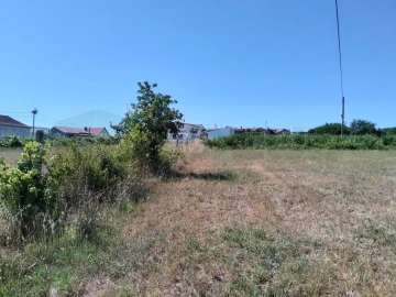 Terreno para Venda em Salreu