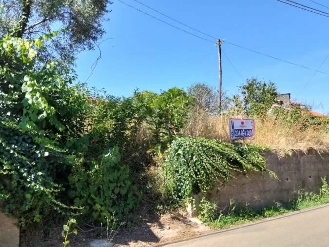 Terreno para Venda em Salreu Foto 4