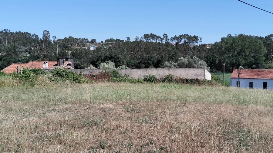 Terreno para Venda em Salreu