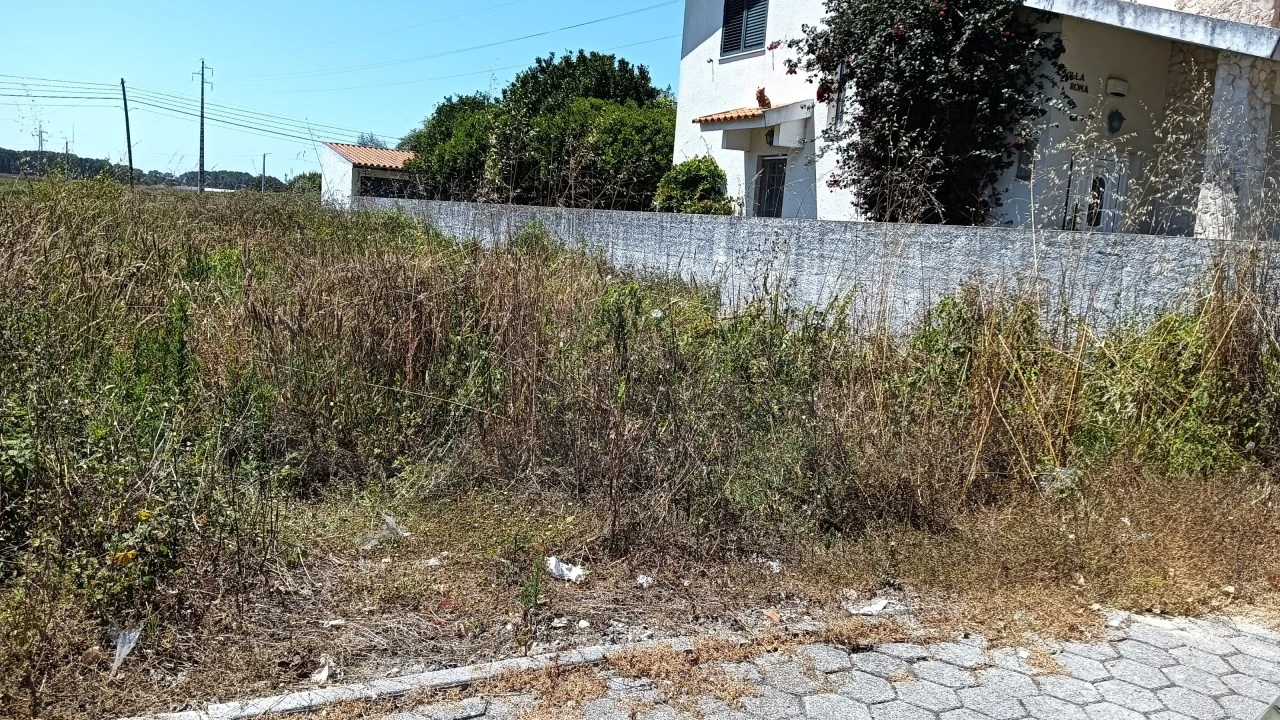 Terreno para Venda em Ílhavo (São Salvador) Foto 3