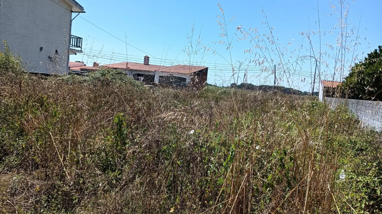 Terreno para Venda em Ílhavo (São Salvador) Foto 7