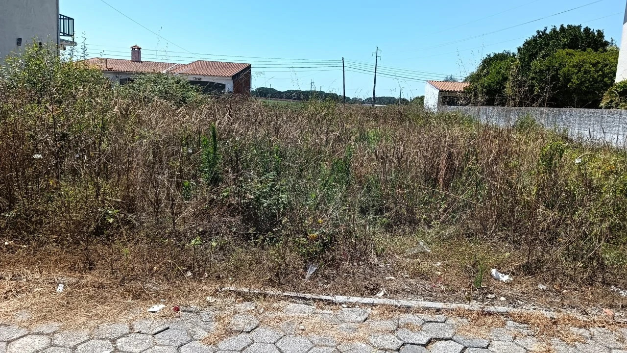 Terreno para Venda em Ílhavo (São Salvador) Foto 8