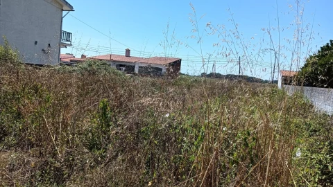 Terreno para Venda em Ílhavo (São Salvador)