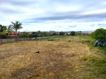 Terreno para Venda em Beduído e Veiros