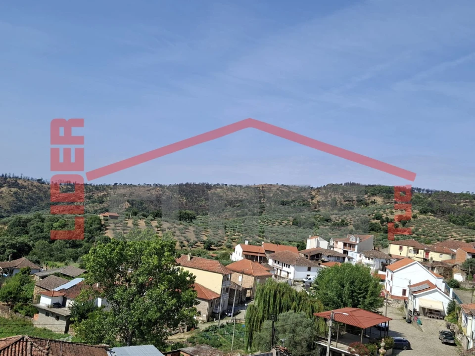 Moradia T3 para Venda em Candoso e Carvalho de Egas Foto 24