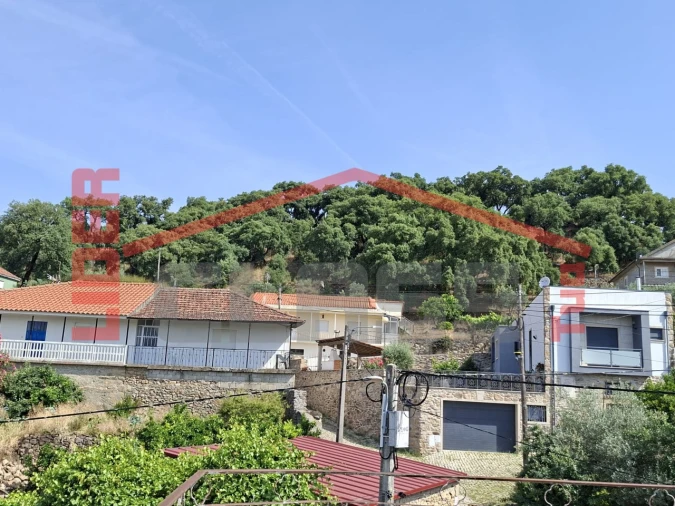 Moradia T3 para Venda em Candoso e Carvalho de Egas Foto 22