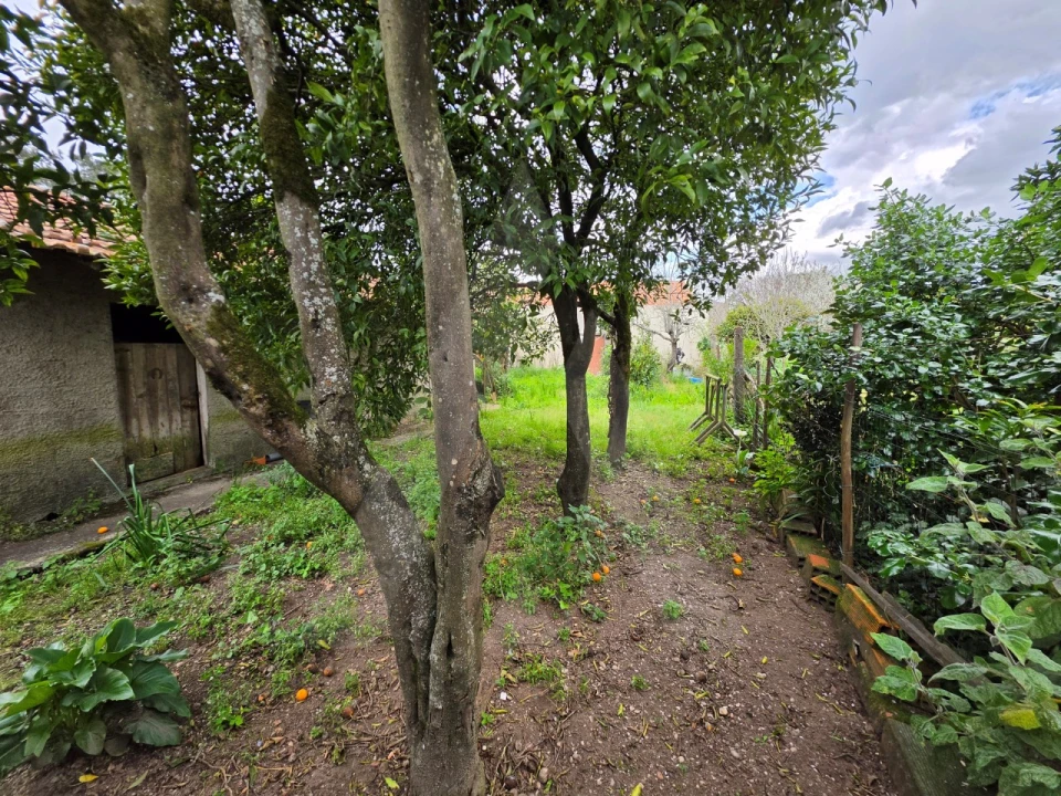 Moradia T3 para Venda em Cacia Foto 17