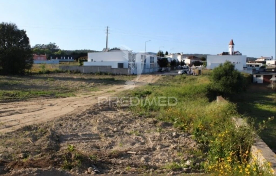 Terreno para Venda em Alheira e Igreja Nova Foto 3