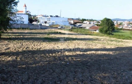 Terreno para Venda em Alheira e Igreja Nova