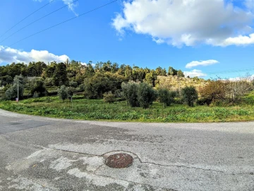 Terreno para Venda em Assafarge e Antanhol