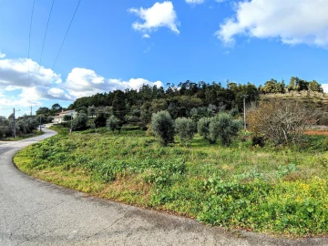 Terreno para Venda em Assafarge e Antanhol