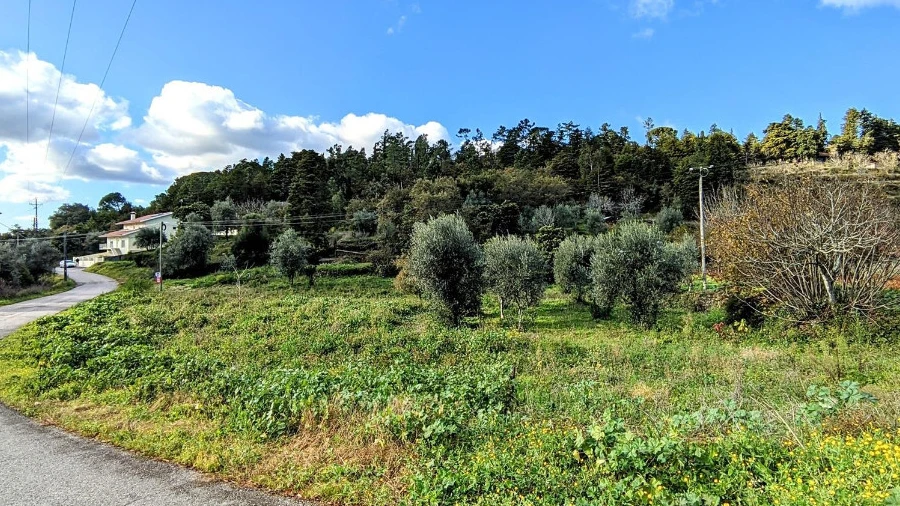 Terreno para Venda em Assafarge e Antanhol