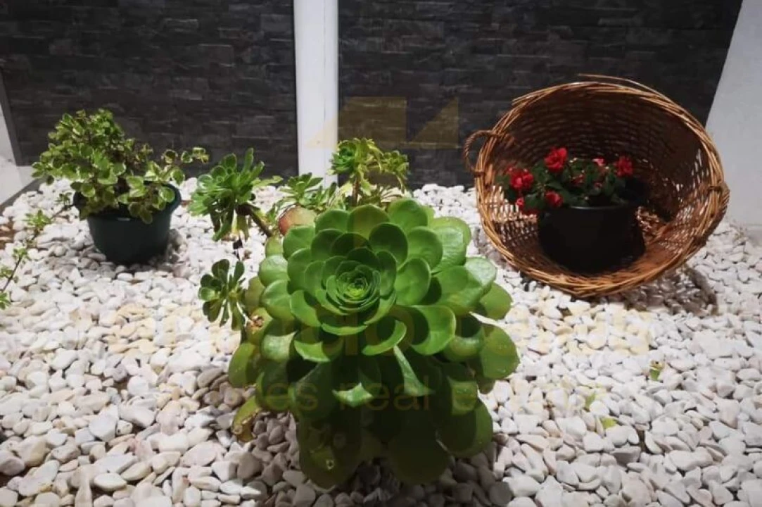 Moradia T3 para Venda em Terra Chã Foto 14