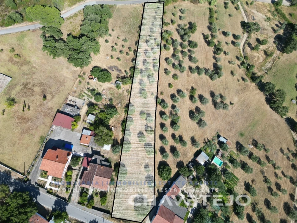 Terreno para Venda em São Pedro de Tomar Foto 1