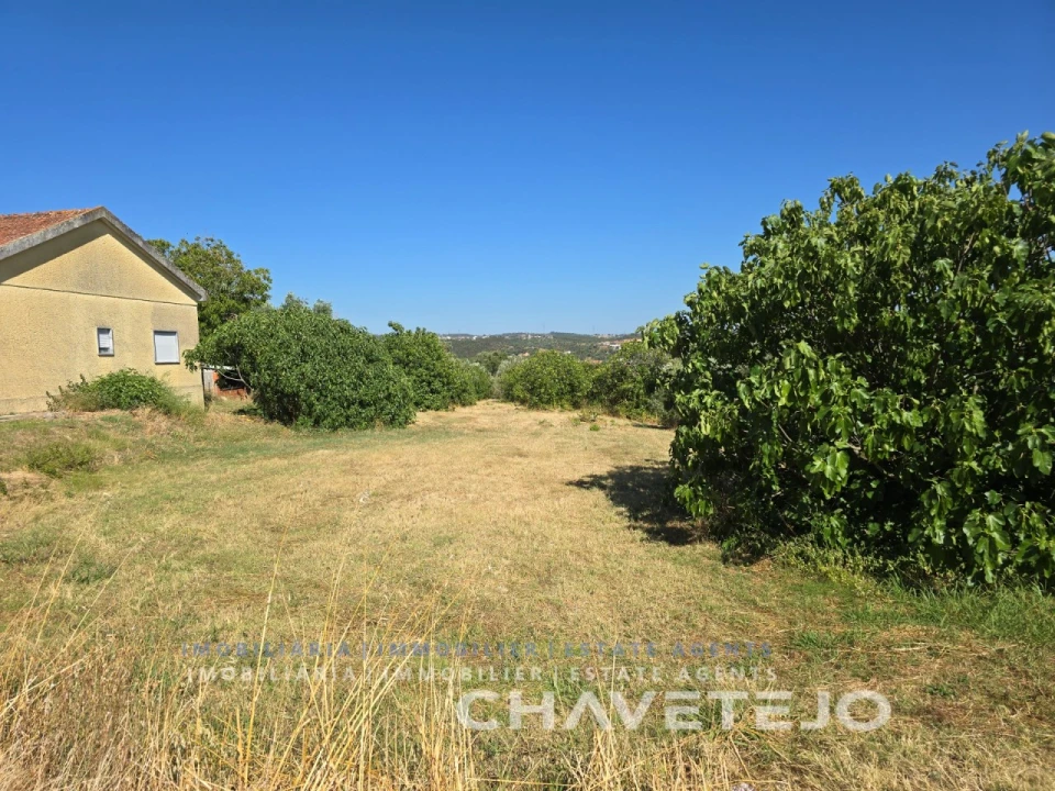 Terreno para Venda em São Pedro de Tomar Foto 3