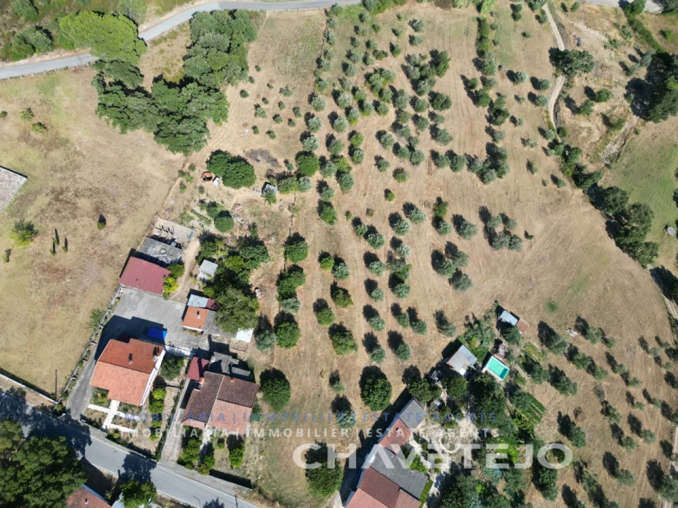 Terreno para Venda em São Pedro de Tomar Foto 12