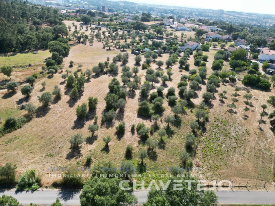 Terreno para Venda em São Pedro de Tomar Foto 14