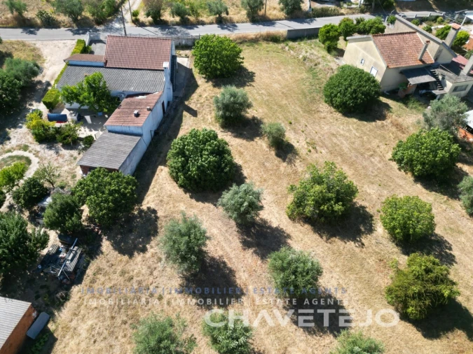 Terreno para Venda em São Pedro de Tomar Foto 13