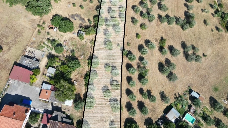 Terreno para Venda em São Pedro de Tomar