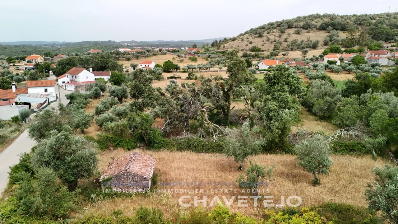 Terreno para Venda em Alvorge Foto 5