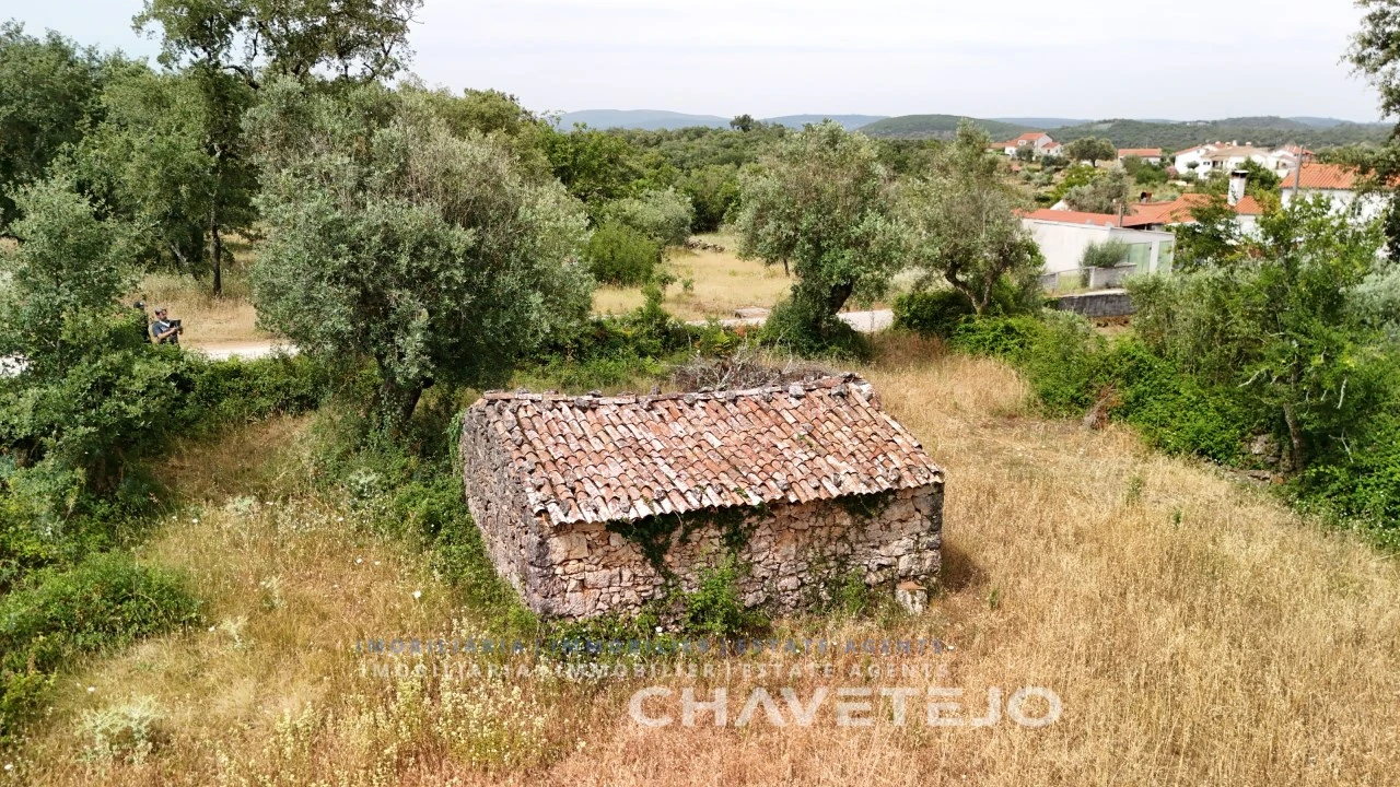 Terreno para Venda em Alvorge Foto 6