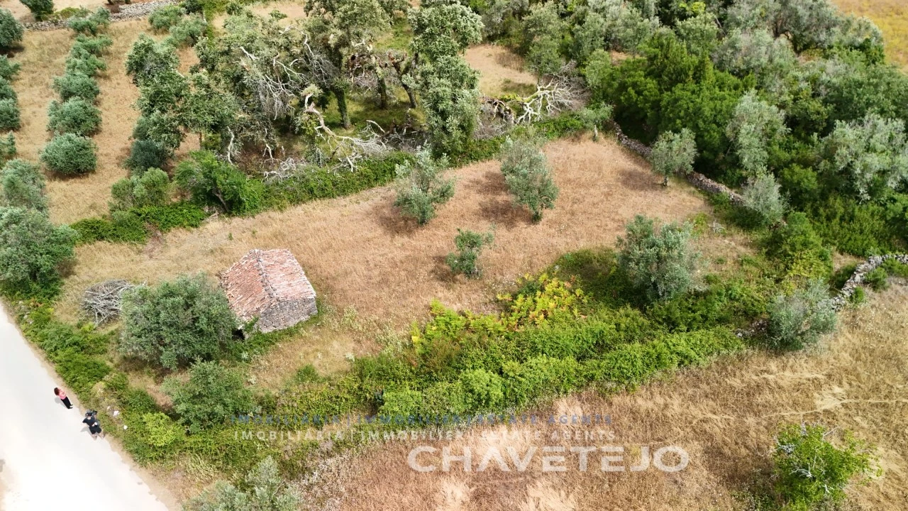 Terreno para Venda em Alvorge Foto 7