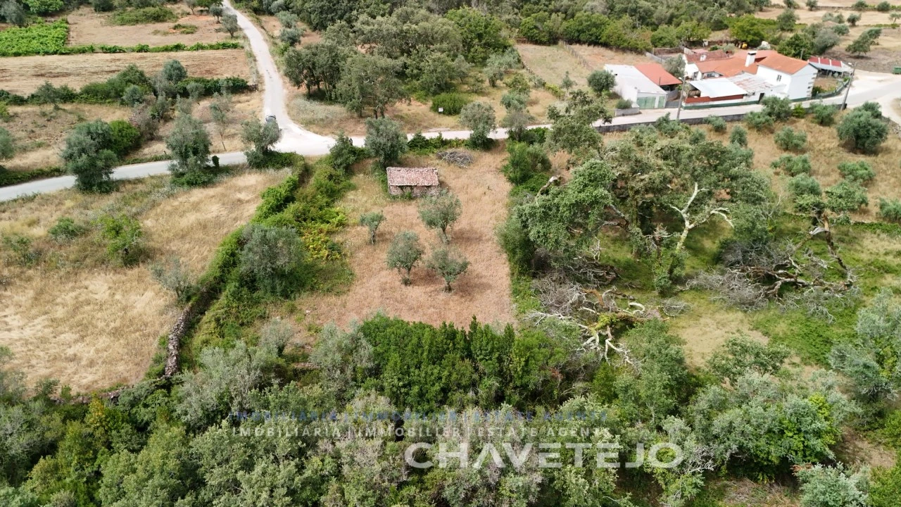 Terreno para Venda em Alvorge Foto 8
