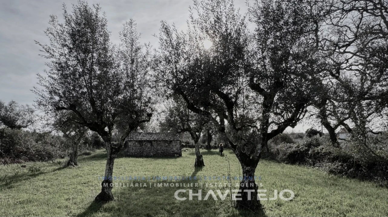 Terreno para Venda em Alvorge Foto 9