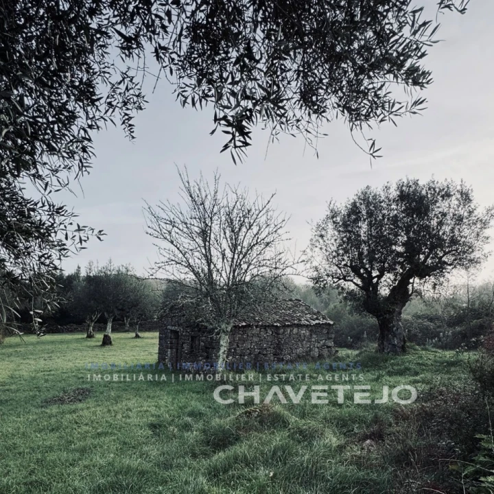 Terreno para Venda em Alvorge Foto 22