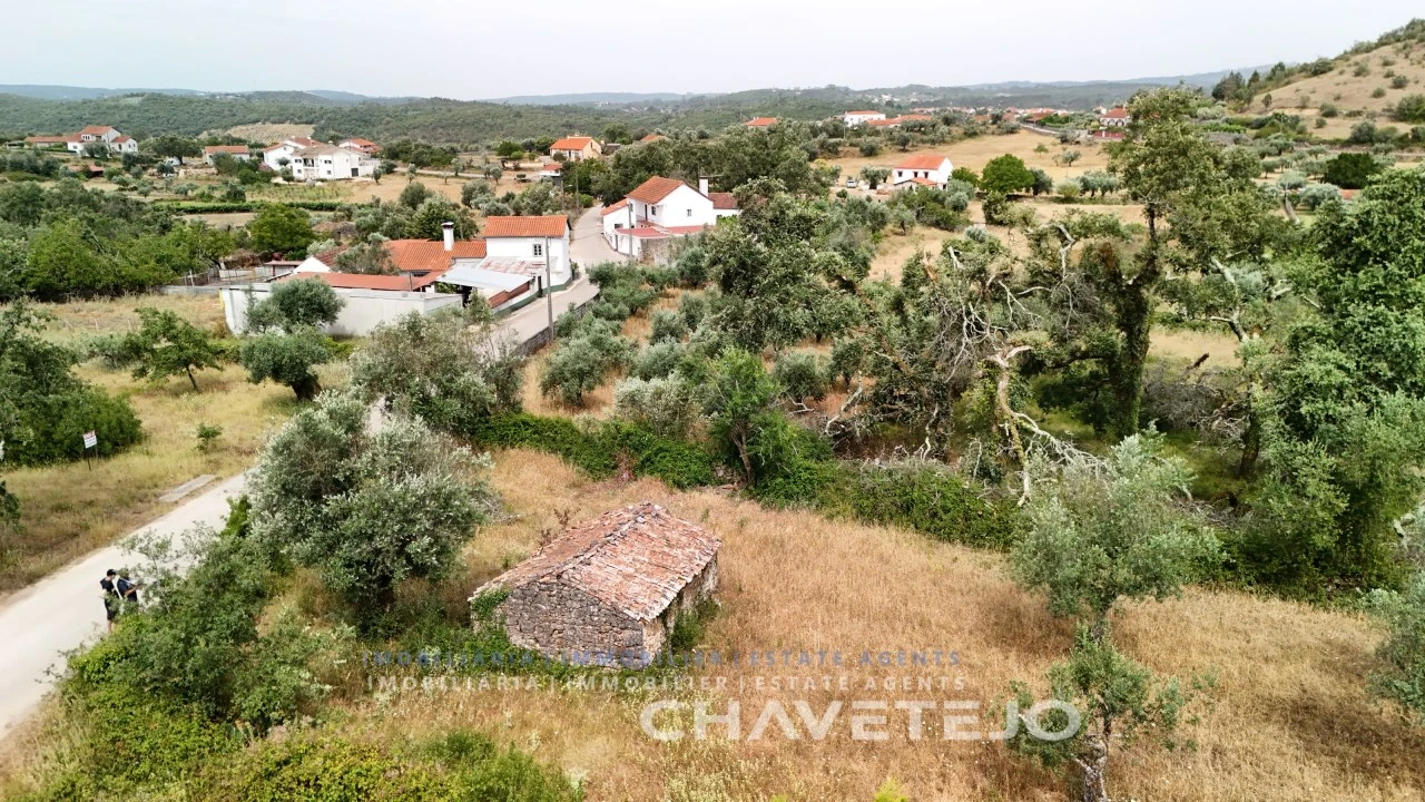 Terreno para Venda em Alvorge Foto 24
