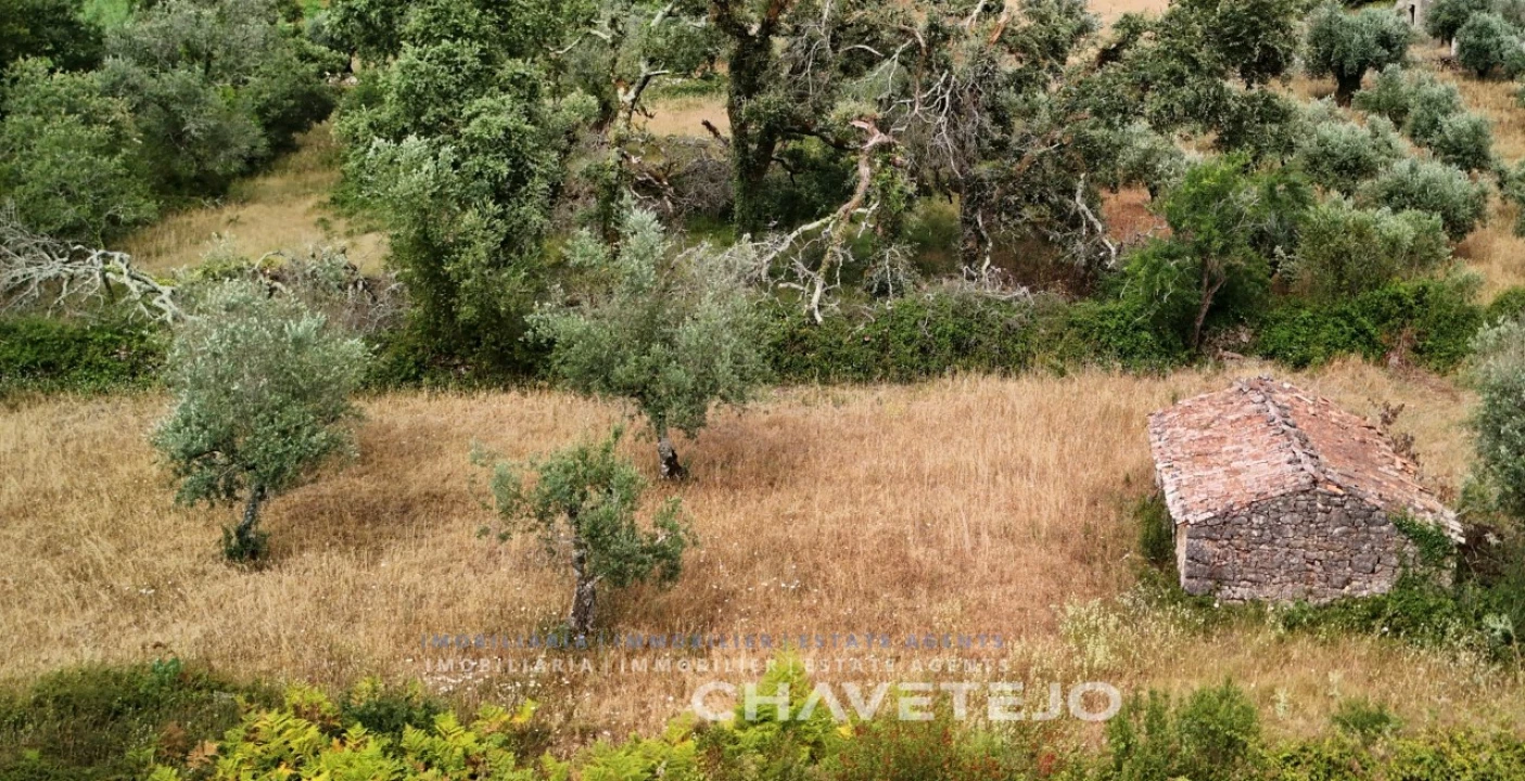 Terreno para Venda em Alvorge Foto 26