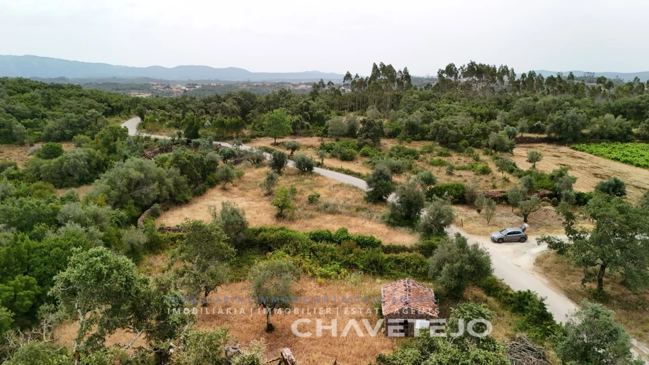 Terreno para Venda em Alvorge Foto 27