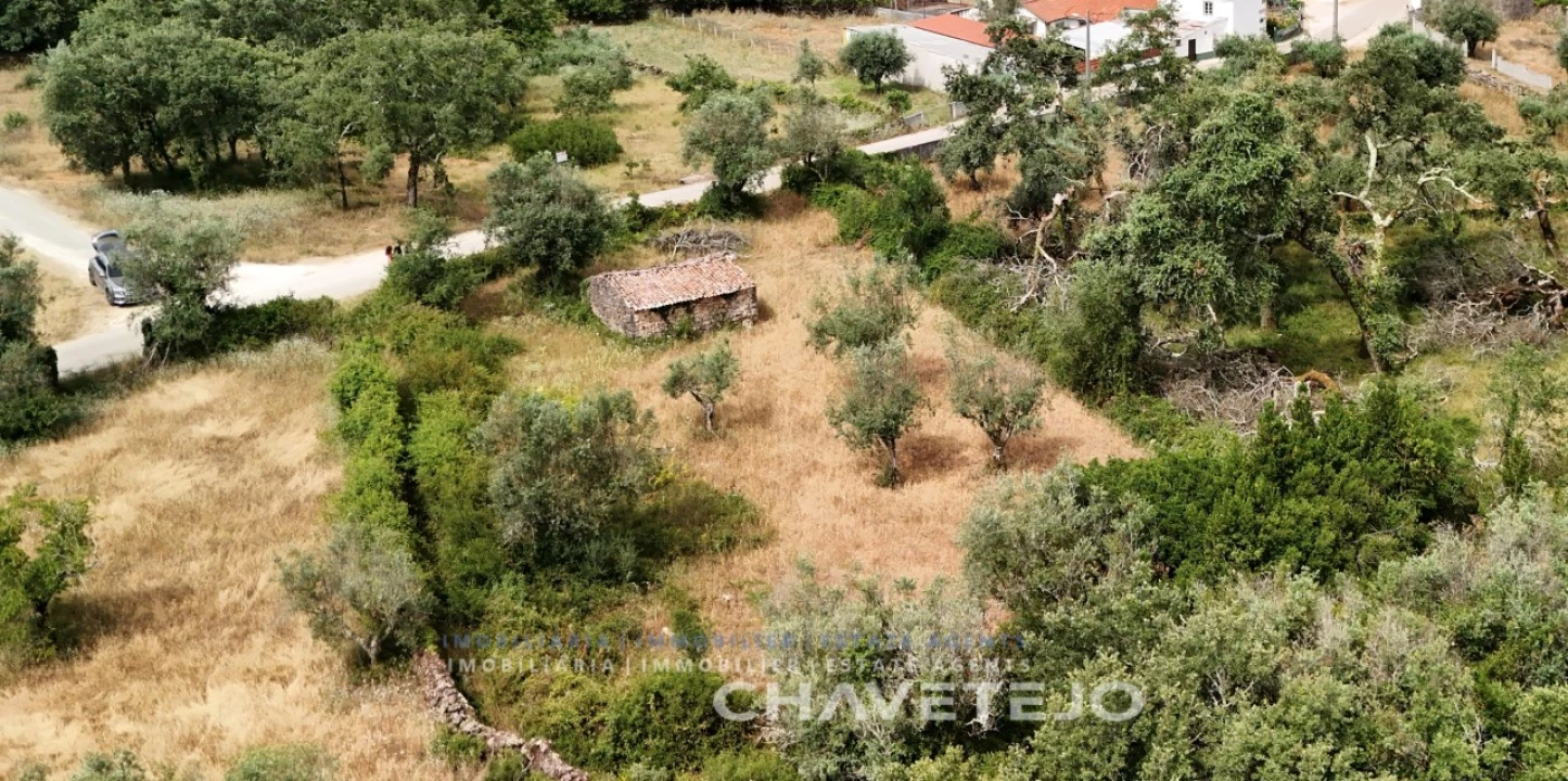 Terreno para Venda em Alvorge Foto 28