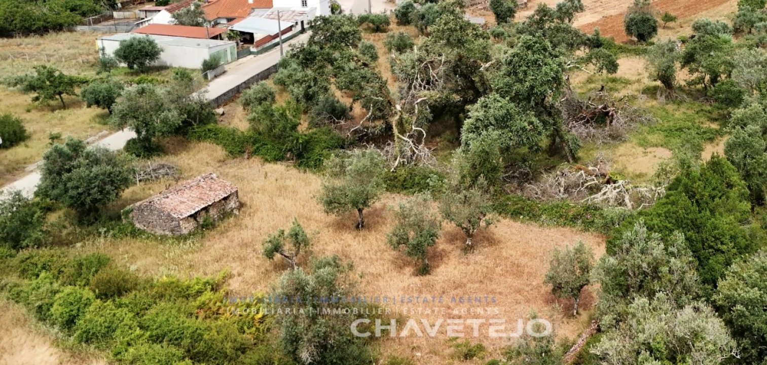 Terreno para Venda em Alvorge Foto 30
