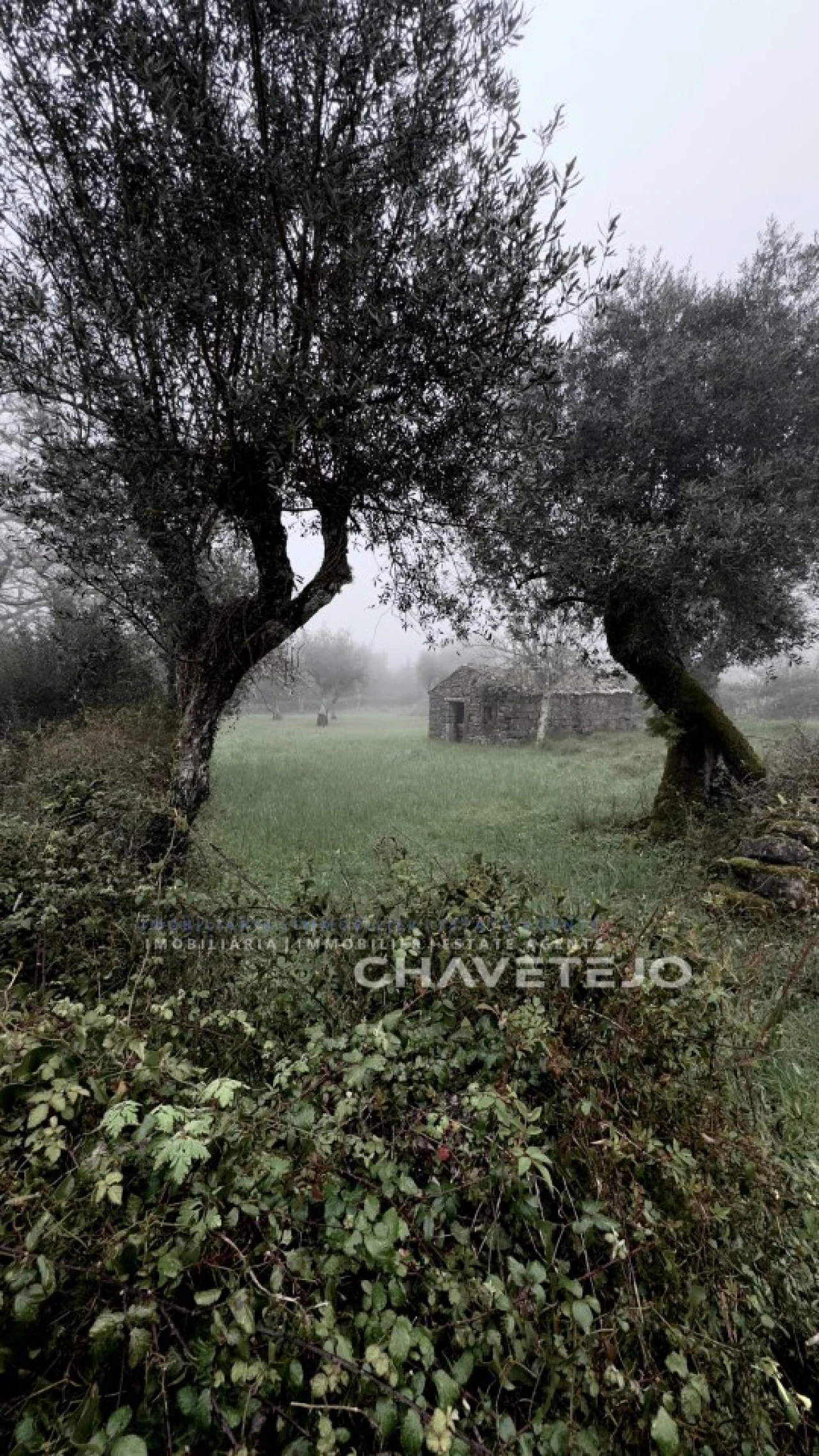 Terreno para Venda em Alvorge Foto 34