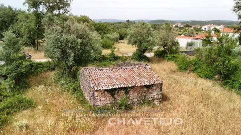 Terreno para Venda em Alvorge