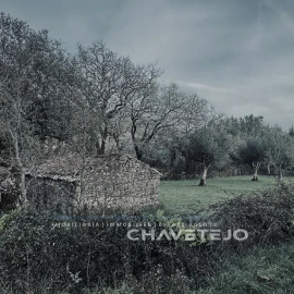 Terreno para Venda em Alvorge